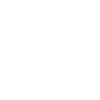 Leapmotor2-WebLogo